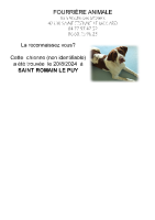 Chienne trouvée à St Romain-le-Puy