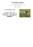 Chien trouvé à St Just St Rambert