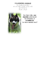 Chien trouvé à Chambles