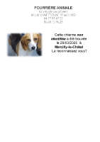 Chien trouvé à Marcilly-le-Châtel