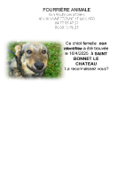 Chien trouvé à St Bonnet-le-Chateau