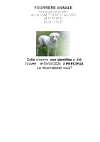 Chien trouvé à Précieux