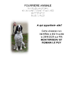 Chien trouvé à Montbrison